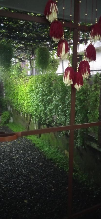 Bethel Residency Hotel Kochi Eksteriør billede